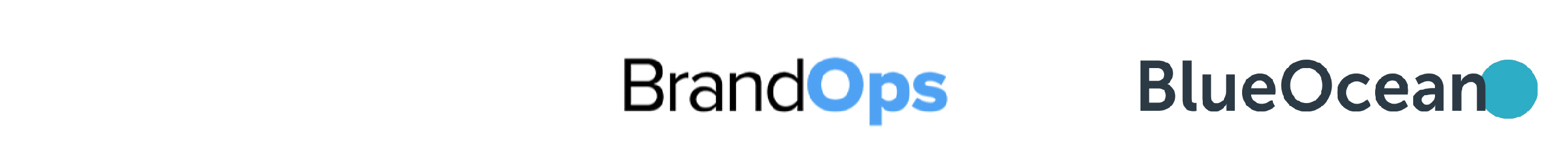 BrandOps-Logo-BlueOcean-Logo-02